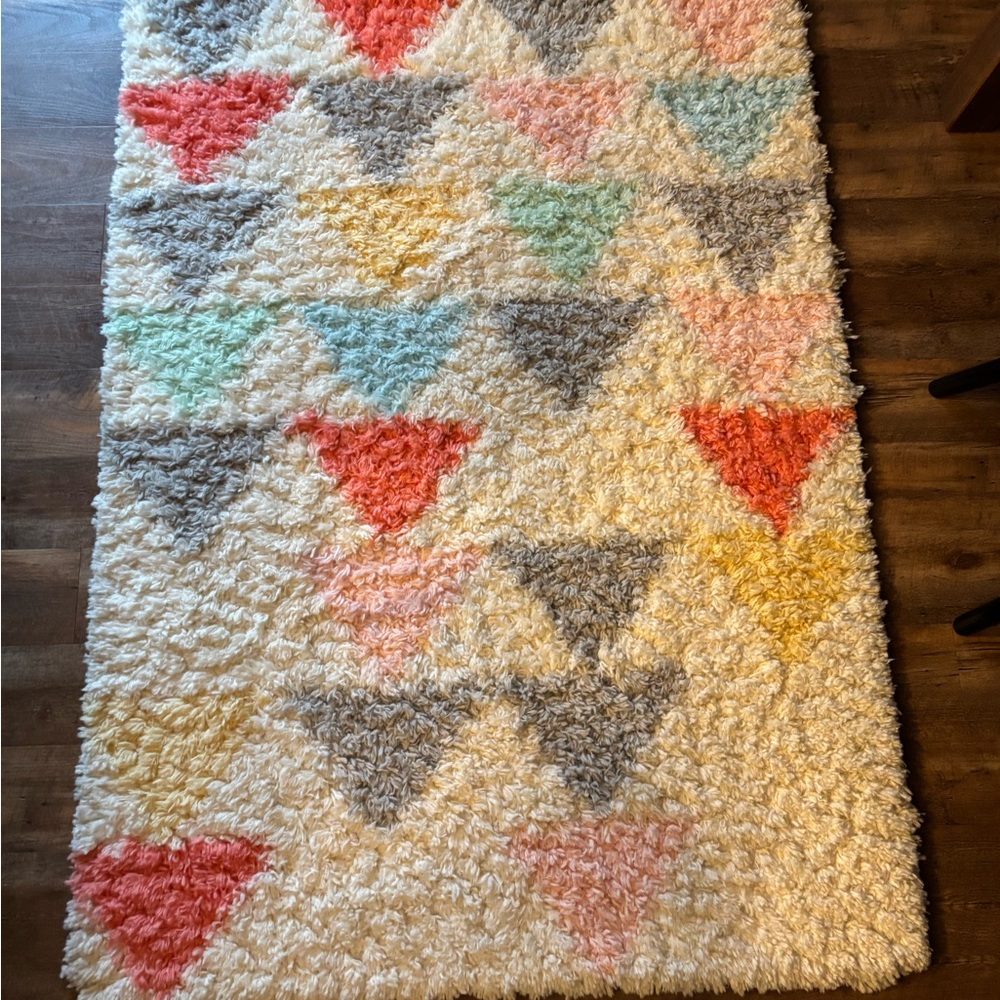Pillowfort Multi-Color Area Rug